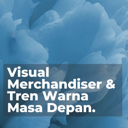 Visual Merchandiser